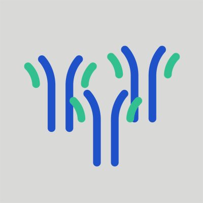 Biosimilar reference antibodies