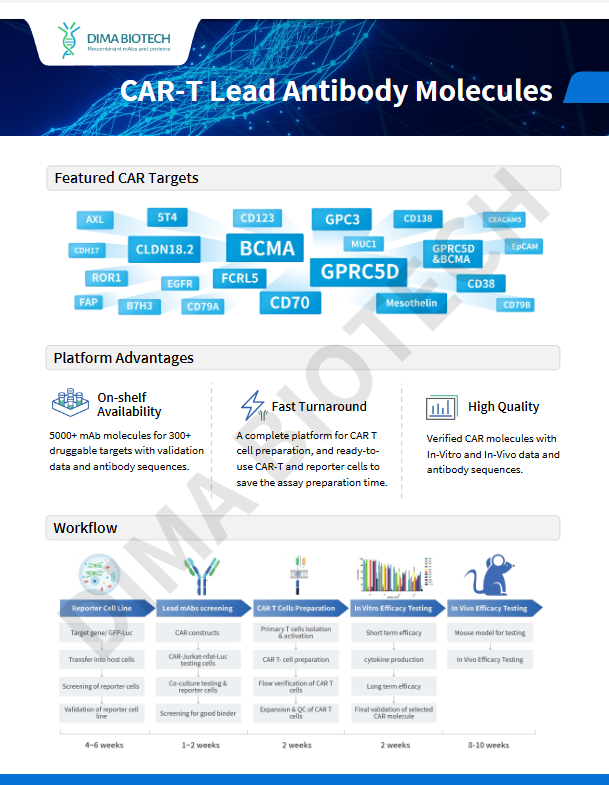 CAR-T Lead Antibody Molecules
