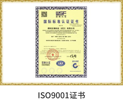 ISO9001 centification-Chinese version