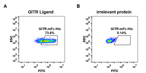 PME100019-GITR-mFc-His-FC-Fig2