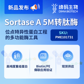 Sortase Attachment Sortase A 位点特异性蛋白标记与抗体偶联全指南-缔码生物