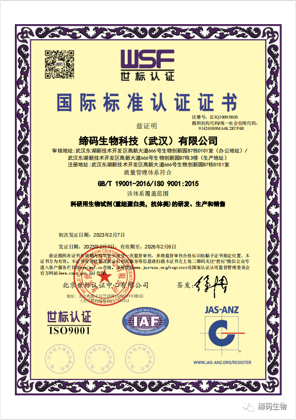 喜获ISO9001认证！