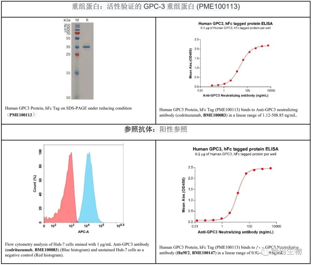 肝癌细胞治疗领域的宠儿GPC3