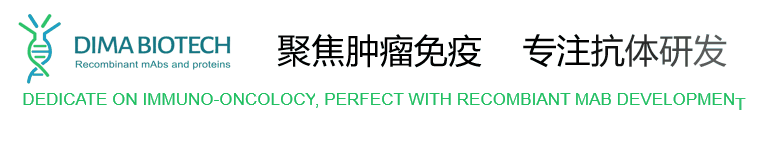 锌转运蛋白LIV-1能否带来“锌”机遇? 锌转运蛋白LIV-1能否带来“锌”机遇?