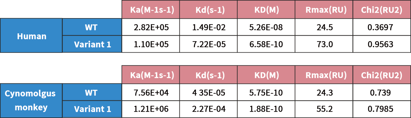 pages-0.7985