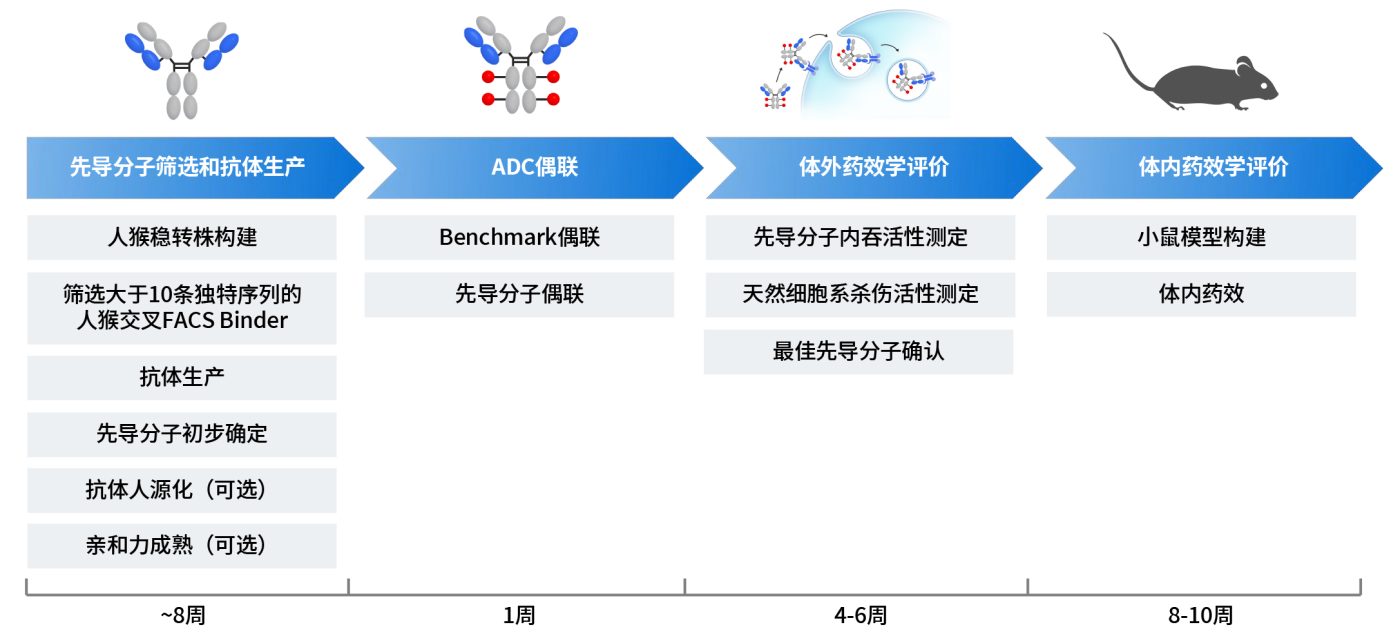 pages-ADC 1