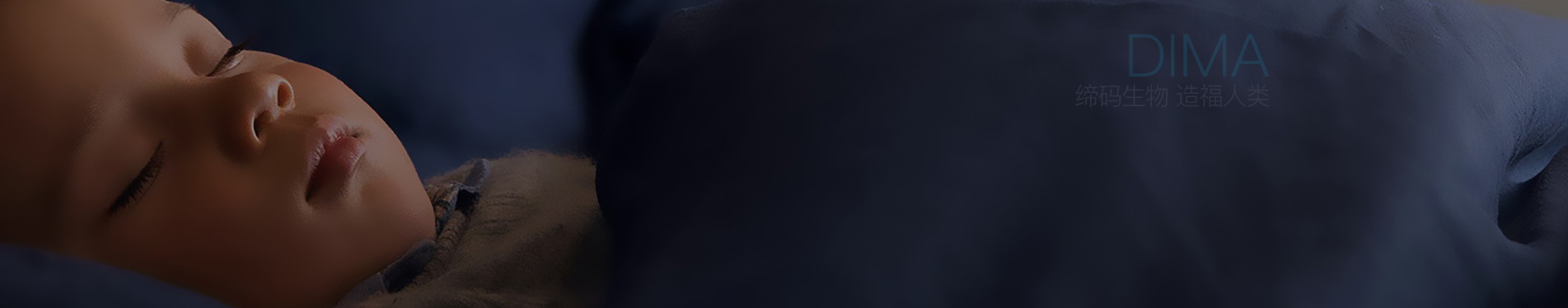 pages-home_bg04