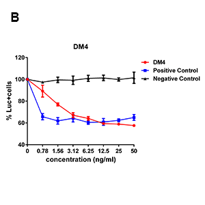 antibody-DMB100003 BCMA Tumor cell killing Fig2B