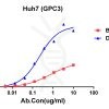 antibody-DMC100371 GPC3 Flow Fig1