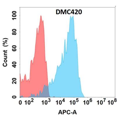 antibody-DMC100420 PMEL Flow Fig1
