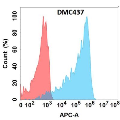 antibody-DMC100437 M CSF Flow Fig1
