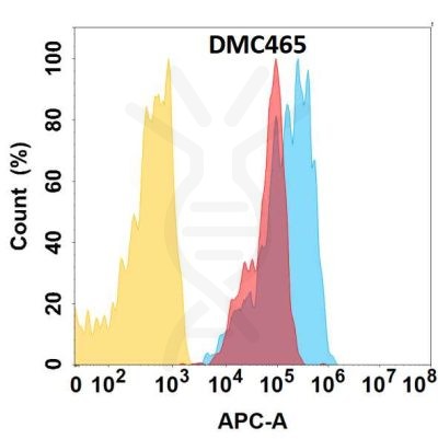 antibody-DMC100465 CCR1 Fig.1 FC 1