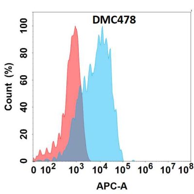 antibody-DMC100478 GPR87 Fig.1 FC 1