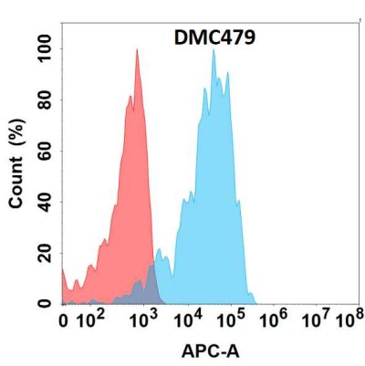 antibody-DMC100479 APCDD1 Fig.1 FC 1