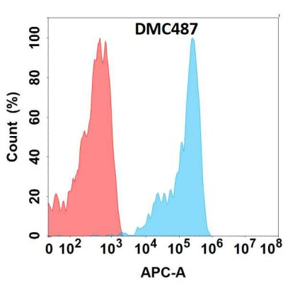 antibody-DMC100487 FZD10 Fig.1 FC 1