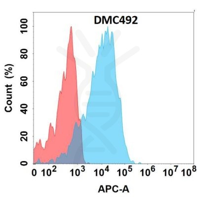 antibody-DMC100492 GPR75 Fig.1 FC 1