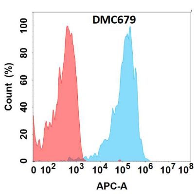 antibody-DMC100679 CXCR5 Fig.1 FC 1