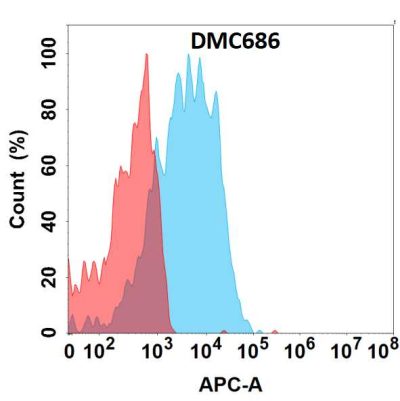 antibody-DMC100686 ALPP Fig.1 FC 1