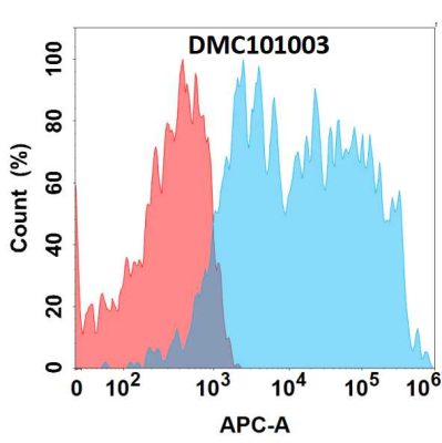 antibody-DMC101003 CCR5 Fig.1 FC 1