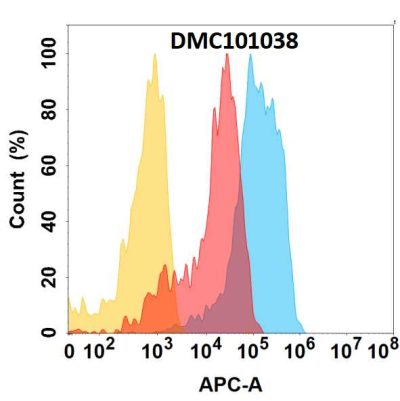 antibody-DMC101038 CD98 Fig.1 FC 1