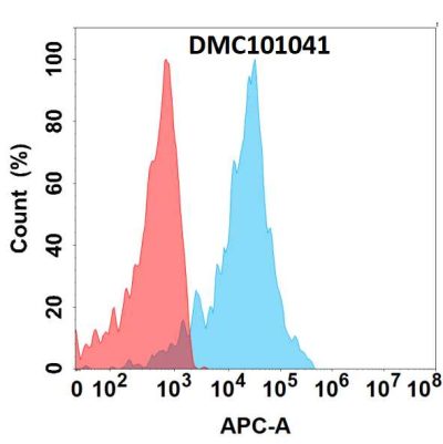 antibody-DMC101041 CDH3 Fig.1 FC 1