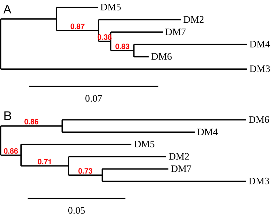 DME100004-BCMA-Fig3.png