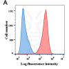 antibody-DME100006 BCMA Fig1 A