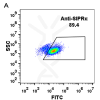 antibody-DME100008 SIRPA FLOW Fig1 A