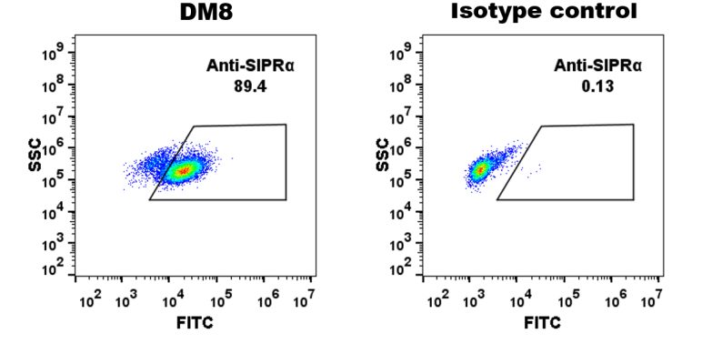 antibody-DME100008 SIRPA Fig.1 FC 1