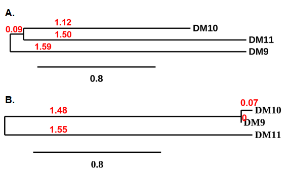 DME100009-CS1-Fig4.png