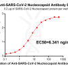 antibody-DME100015 SARS CoV 2 Nucleocapsid Figure 1