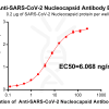 antibody-DME100016 SARS CoV 2 Nucleocapsid Figure 1