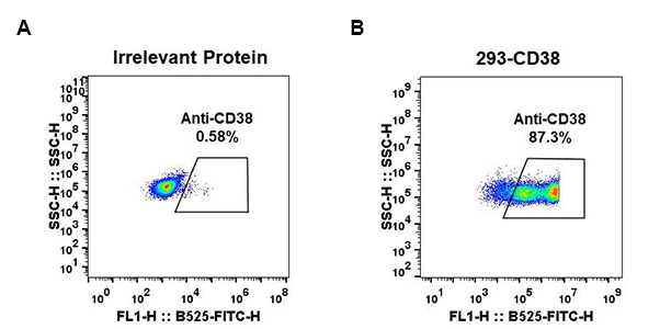 antibody-DME100027 CD38 Fig.1 FC 1