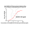 antibody-DME100035 SARS CoV 2 Nucleocapsid ELISA fig1