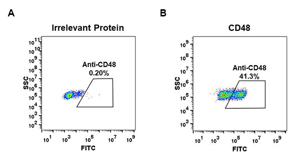 DME100042-CD48-Fig.1-FC-1.jpg