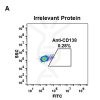 antibody-DME100044 CD138 FIG1A