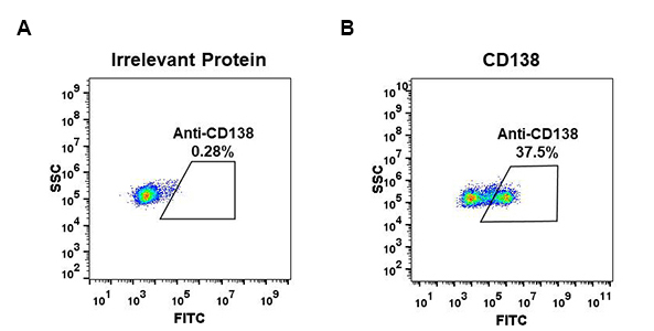 DME100044-CD138-Fig.1-FC-1.jpg