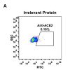 antibody-DME100047 ACE2 fig1A
