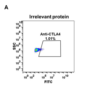 antibody-DME100049 flow fig 2A