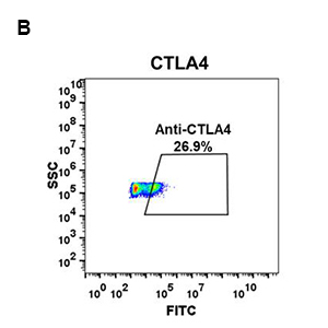 antibody-DME100049 flow fig 2B