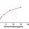 antibody-DME100050 CTLA4 FLOW Fig3