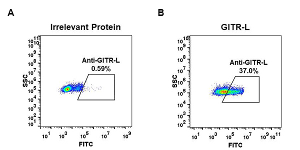 antibody-DME100052 GITR Ligand Fig.1 FC 1