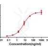 antibody-DME100063 CD28 Fig.1 Elisa 1