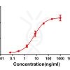 antibody-DME100063 CD28 Fig.1 Elisa 1