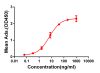 antibody-DME100063 CD28 Fig.1 Elisa 1