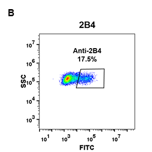 antibody-DME100069 2B4 293 B FLOW Fig2