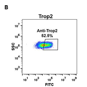 antibody-DME100074 Trop2 FLOW 293 B Fig2