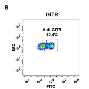 antibody-DME100078 GITR FLOW 293 B Fig2