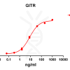 antibody-DME100079 GITR ELISA Fig1