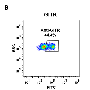 antibody-DME100080 GITR FLOW 293 B Fig2